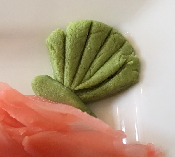 Wasabi sea shell by C. Ross