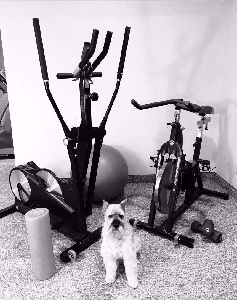 exercise elliptical, stationary bike and schanuzer