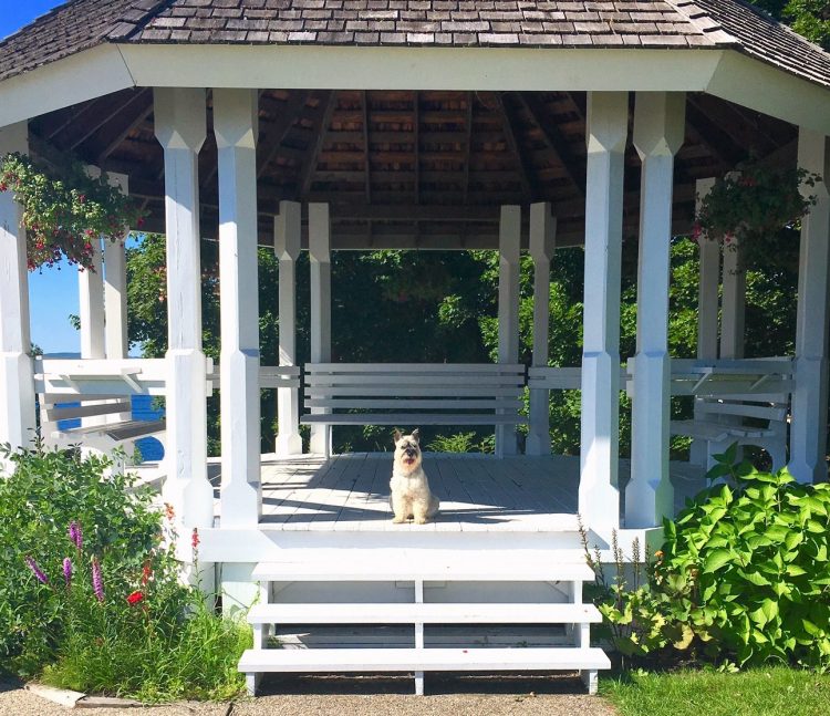 gazebo at the pet friendly Wolfeboro Inn