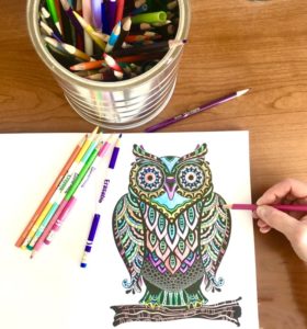 owl coloring book art