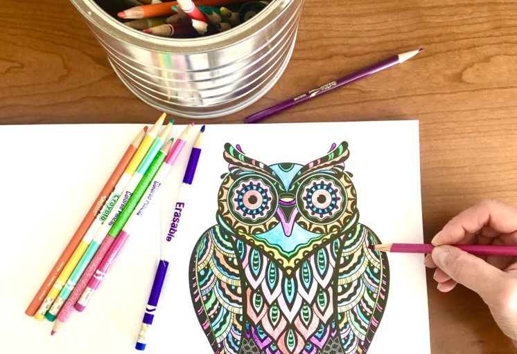 owl coloring book art